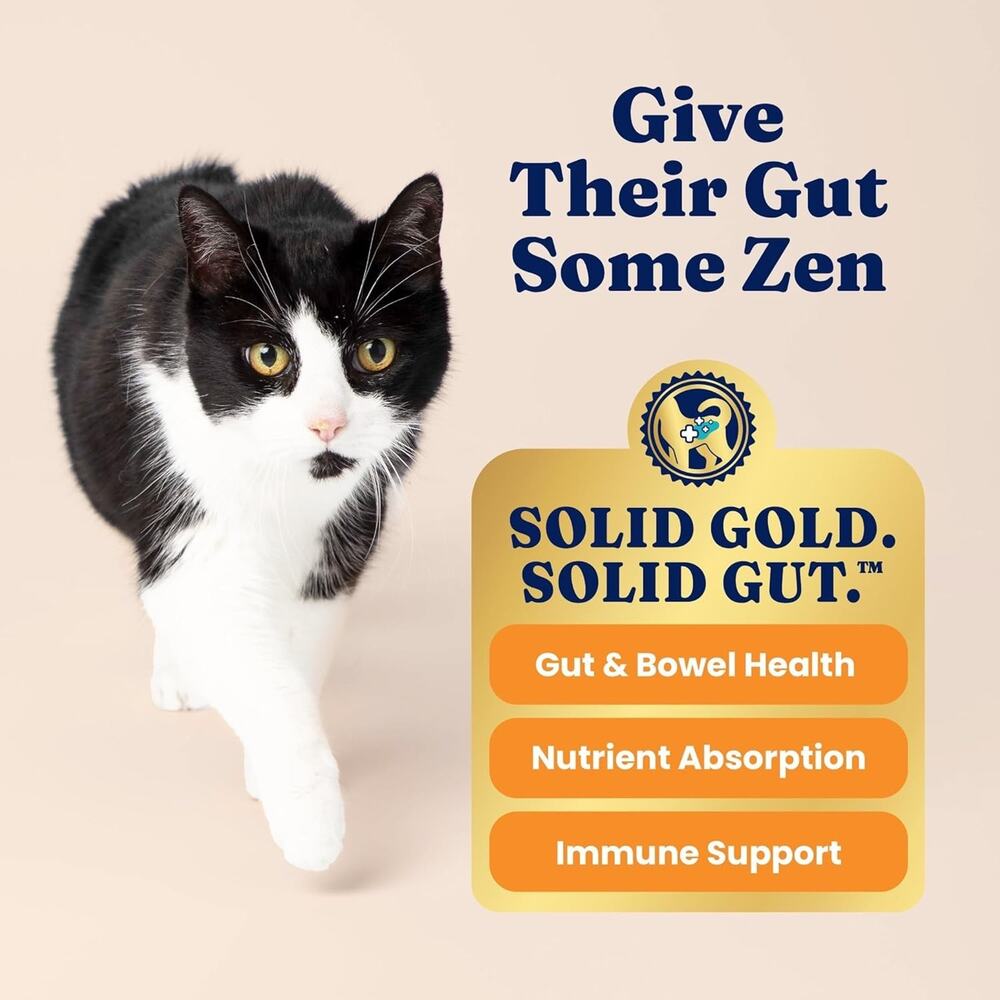 Solid Gold High Protein Dry Cat Food - Grain Free & Gluten Free Alaskan Pollock - Picture 4 of 6